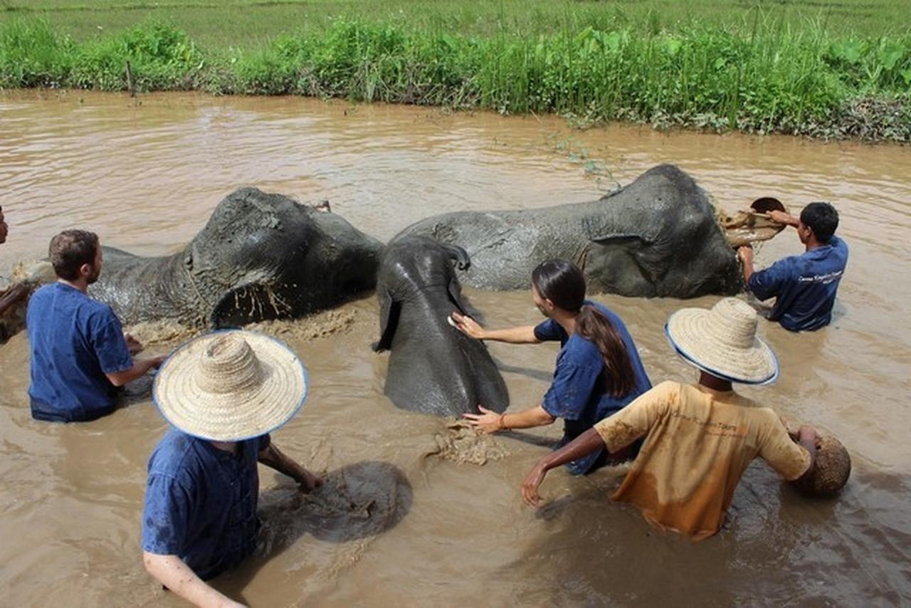 Kalaka Homestay Ban Ban San Sai Exteriör bild