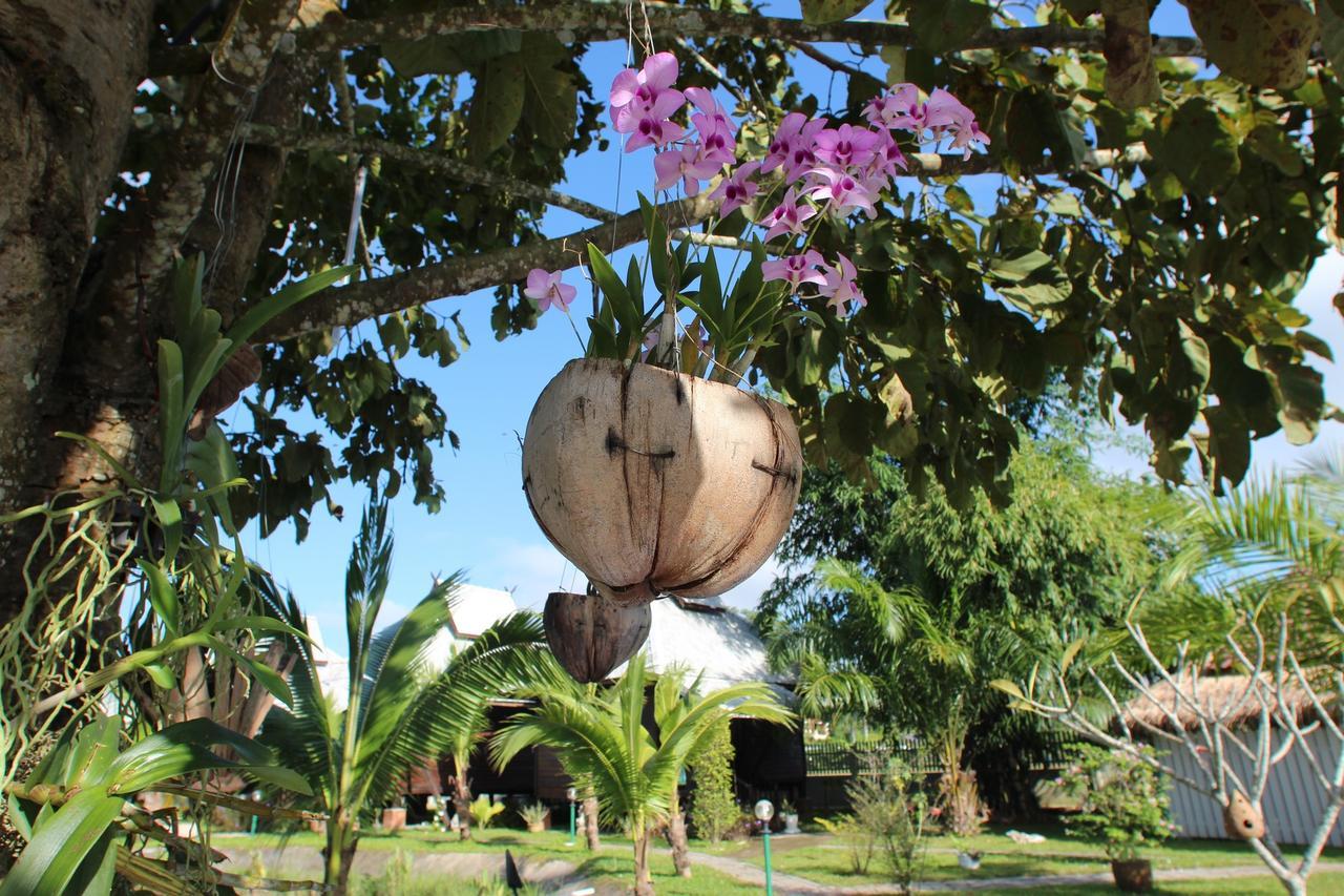 Kalaka Homestay Ban Ban San Sai Exteriör bild