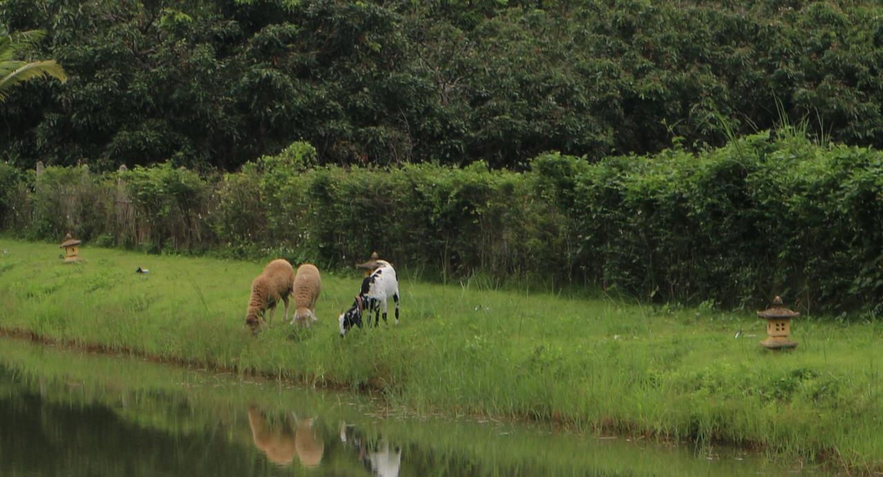 Kalaka Homestay Ban Ban San Sai Exteriör bild